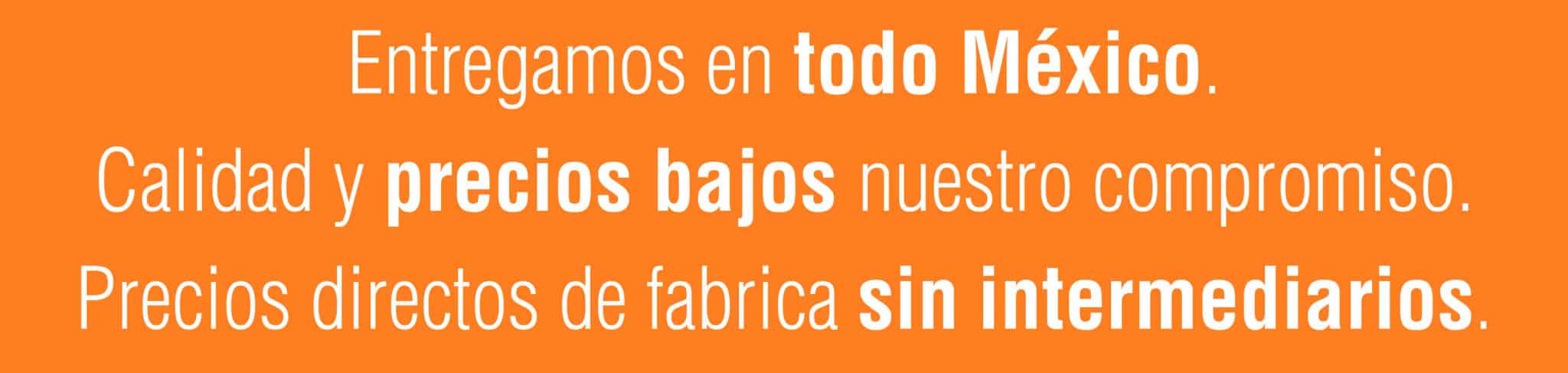Entregamos en todo México